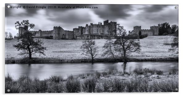 Alnwick Castle Acrylic by David Pringle