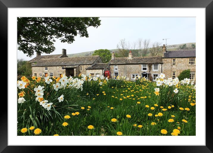 Springtime in Arncliffe Framed Mounted Print by William A Dobson