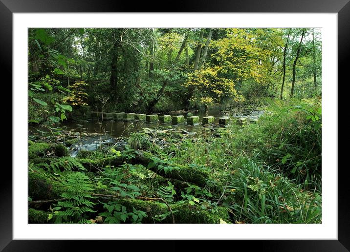 Stepping Stones at Egton Bridge Framed Mounted Print by William A Dobson