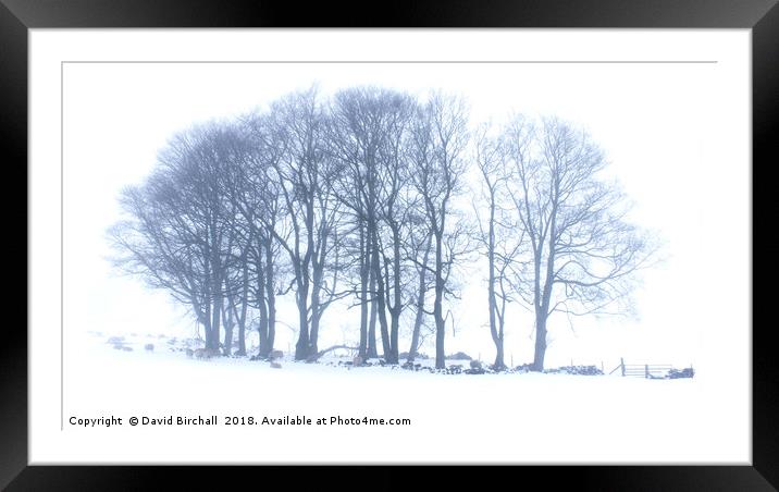 Winter Tree Formation in Snow. Framed Mounted Print by David Birchall