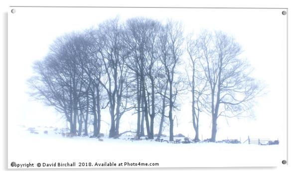 Winter Tree Formation in Snow. Acrylic by David Birchall
