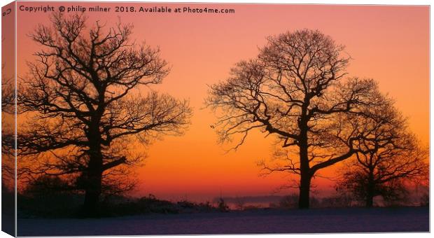 Silhouette Of trees Canvas Print by philip milner