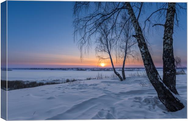 Frosty sunset Canvas Print by Dobrydnev Sergei