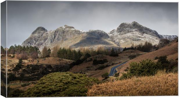 Road to Langdales Canvas Print by sharon carse