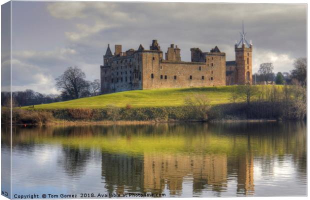 Palace and Church by the Loch Canvas Print by Tom Gomez