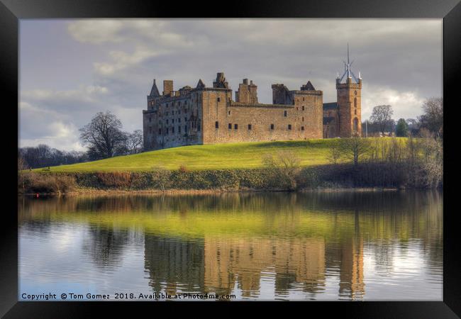 Palace and Church by the Loch Framed Print by Tom Gomez