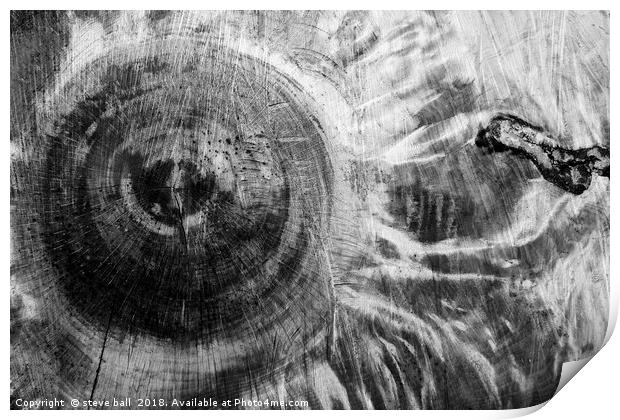 Tree cut Print by steve ball