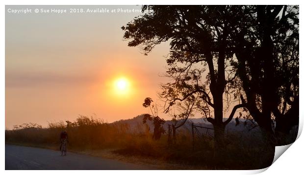 Cyclist at sunset in Zimbabwe Print by Sue Hoppe