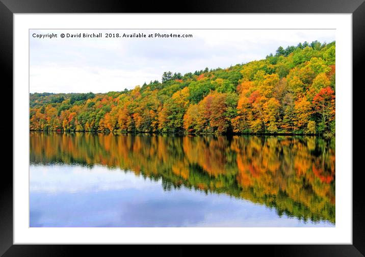 Autumn Reflections in New England, America. Framed Mounted Print by David Birchall