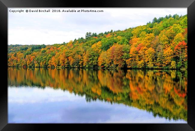 Autumn Reflections in New England, America. Framed Print by David Birchall