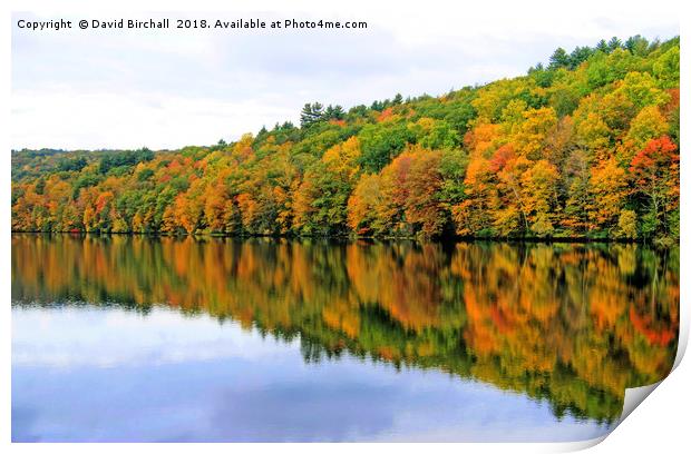 Autumn Reflections in New England, America. Print by David Birchall