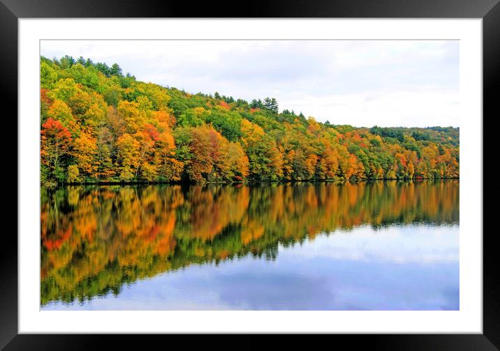 Fall Reflections in New England, America. Framed Mounted Print by David Birchall