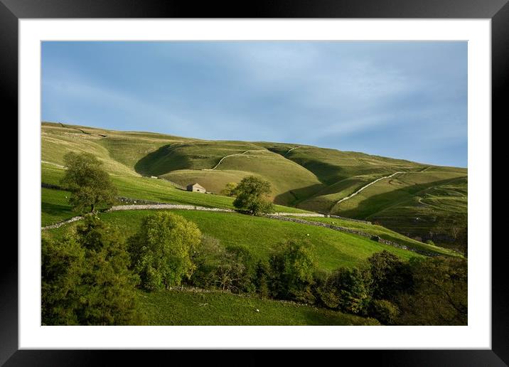Yorkshire dales Barn Framed Mounted Print by Dan Ward