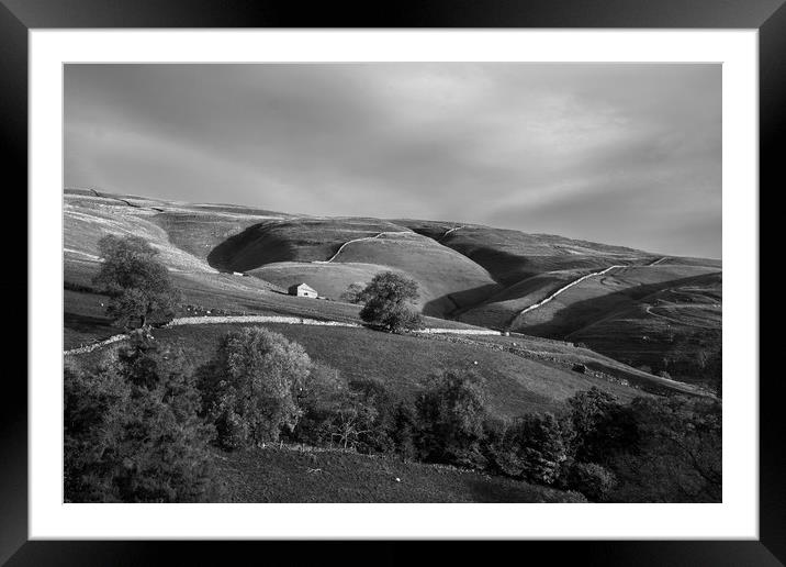 Single barn in the Yorkshire Dales Framed Mounted Print by Dan Ward