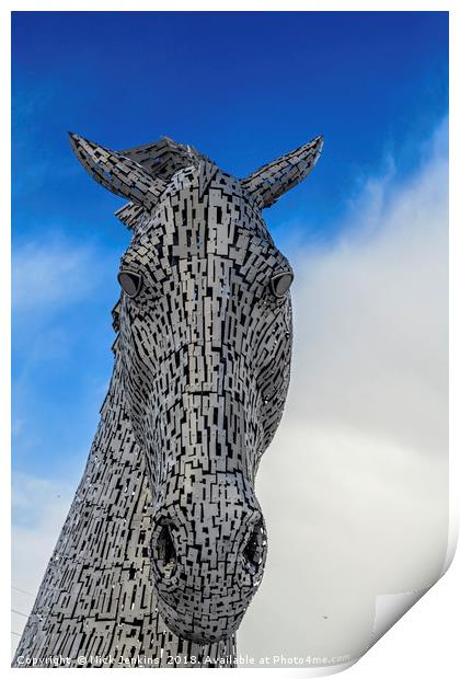 One of the Two Kelpies Helix Park Falkirk Print by Nick Jenkins
