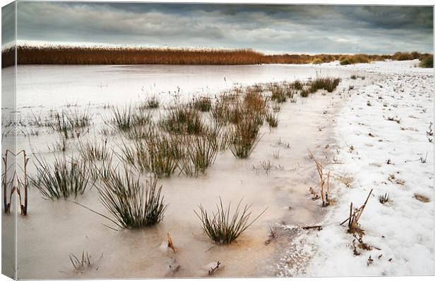 Frozen salt marsh Canvas Print by Stephen Mole