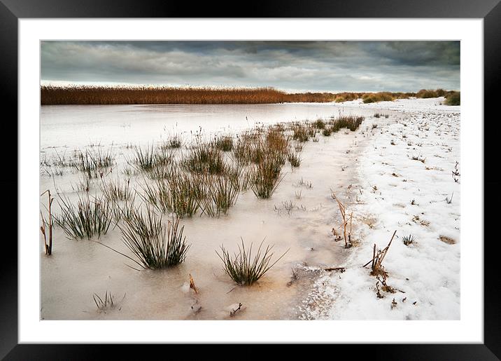 Frozen salt marsh Framed Mounted Print by Stephen Mole