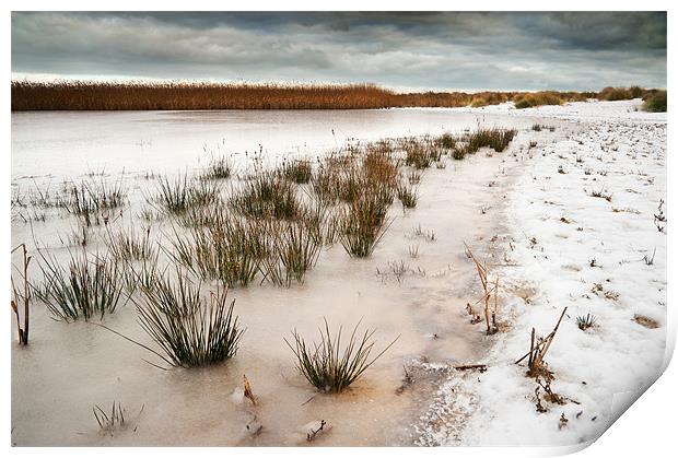 Frozen salt marsh Print by Stephen Mole