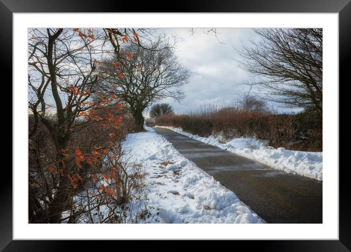 Winter Walk Framed Mounted Print by Richard Downs