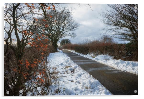 Winter Walk Acrylic by Richard Downs