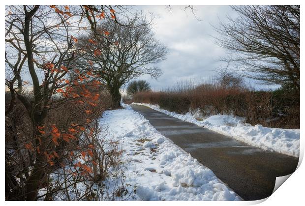 Winter Walk Print by Richard Downs