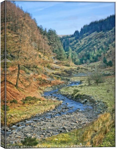 "Stream in Whinlatter Forest" Canvas Print by ROS RIDLEY