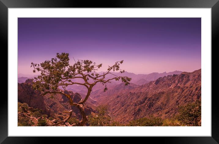 solitary tree looking after a valley. Framed Mounted Print by Wael Attia