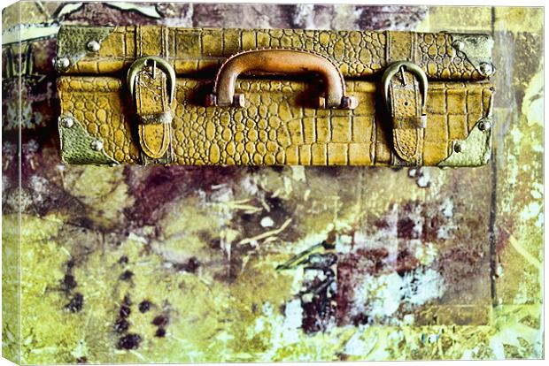Suitcase Canvas Print by Jean-François Dupuis