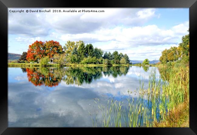 Autumn reflections on a New England lake, America. Framed Print by David Birchall