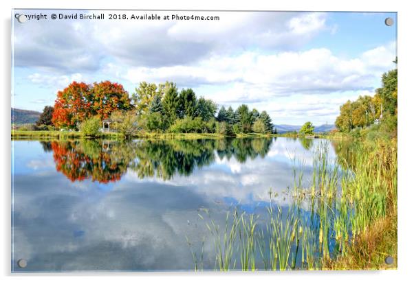 Autumn reflections on a New England lake, America. Acrylic by David Birchall