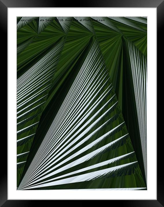 Leaf Framed Mounted Print by Kate Small