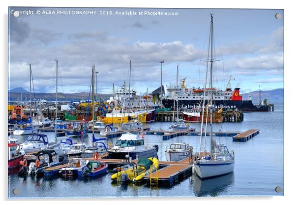Mallaig Harbour, North West Scotland Acrylic by ALBA PHOTOGRAPHY