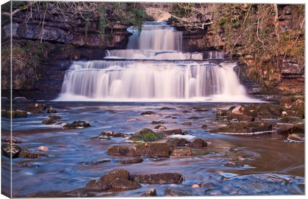 Cotter Force in winter sunshine Canvas Print by David McCulloch