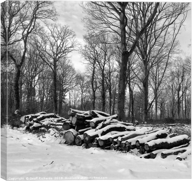Snow Logs In March Canvas Print by Geoff Richards