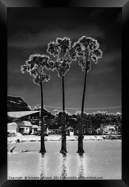 Moon Trees #1 Framed Print by Annette Johnson