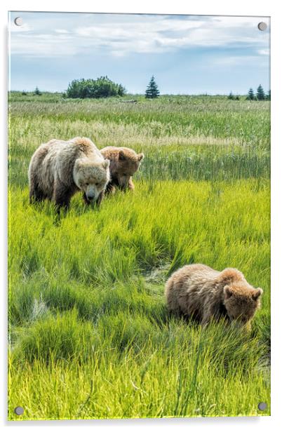 A Mother and Her Two Cubs, No. 3 Acrylic by Belinda Greb