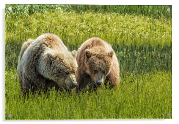 Eating Side by Side Acrylic by Belinda Greb
