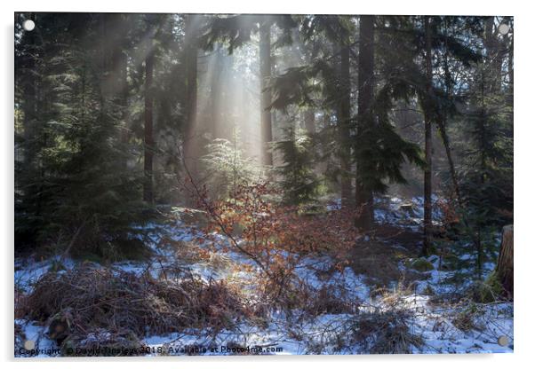 Winter Sunrise Acrylic by David Tinsley