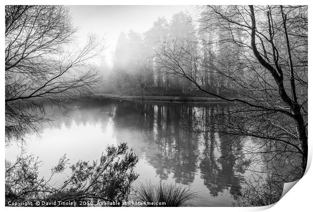 Misty Mallards Pike in Monochrome Print by David Tinsley