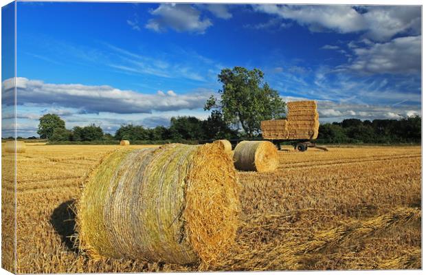 Straw Bales and Trailer Canvas Print by William A Dobson