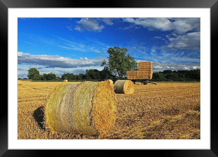 Straw Bales and Trailer Framed Mounted Print by William A Dobson