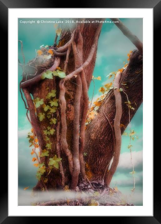 One Fine Day Framed Mounted Print by Christine Lake