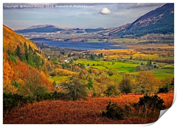 Bassenthwaite Lake from Whinlatter Forest Print by Martyn Arnold