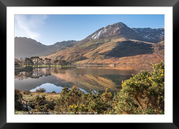 Springtime in Buttermere Framed Mounted Print by AMANDA AINSLEY