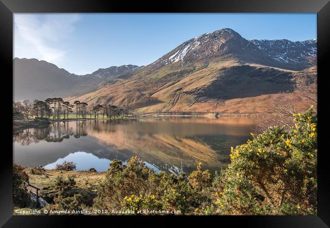 Springtime in Buttermere Framed Print by AMANDA AINSLEY