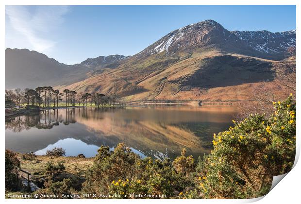 Springtime in Buttermere Print by AMANDA AINSLEY