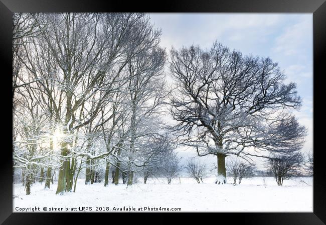 Snow covered forest with early morning sunrise Framed Print by Simon Bratt LRPS