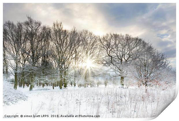 Snow covered rural trees with early morning sunris Print by Simon Bratt LRPS