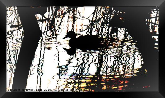                     Pop Art Ducks Framed Print by Matthew Balls