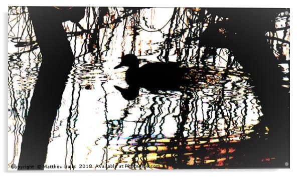                    Pop Art Ducks Acrylic by Matthew Balls